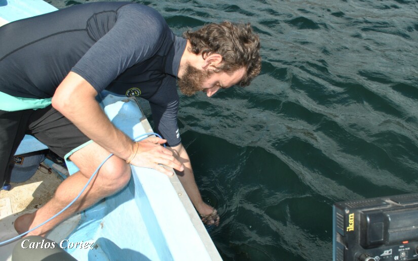 investigacion
